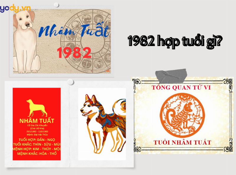 Hình ảnh minh họa sự hòa hợp và xung khắc giữa các con giáp, có thể sử dụng biểu tượng các con vật kết hợp hoặc đối đầu, làm rõ tuổi 1982 là tuổi con gì hợp kỵ